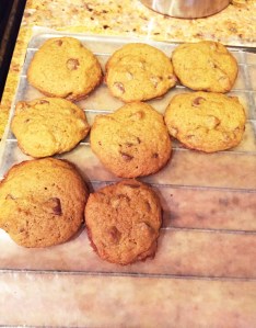 Pumpkin Chocolate Chip Cookies